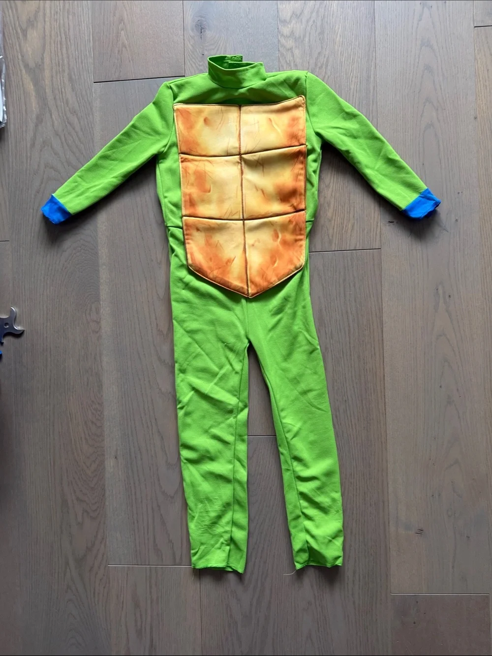 Teenage Mutant Ninja Turtles Leo Green Kids Costume